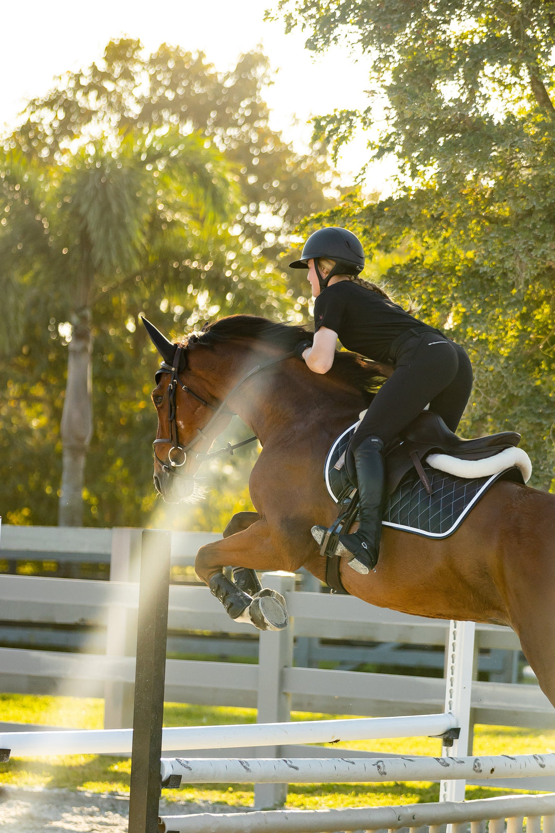 Saddle Pad | Black San Eligius