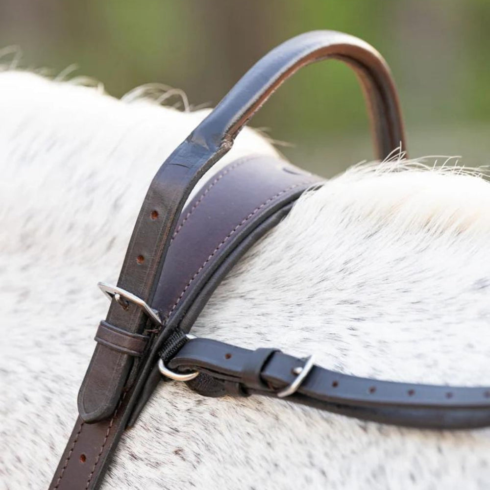 Double Neck Strap CorrectConnect