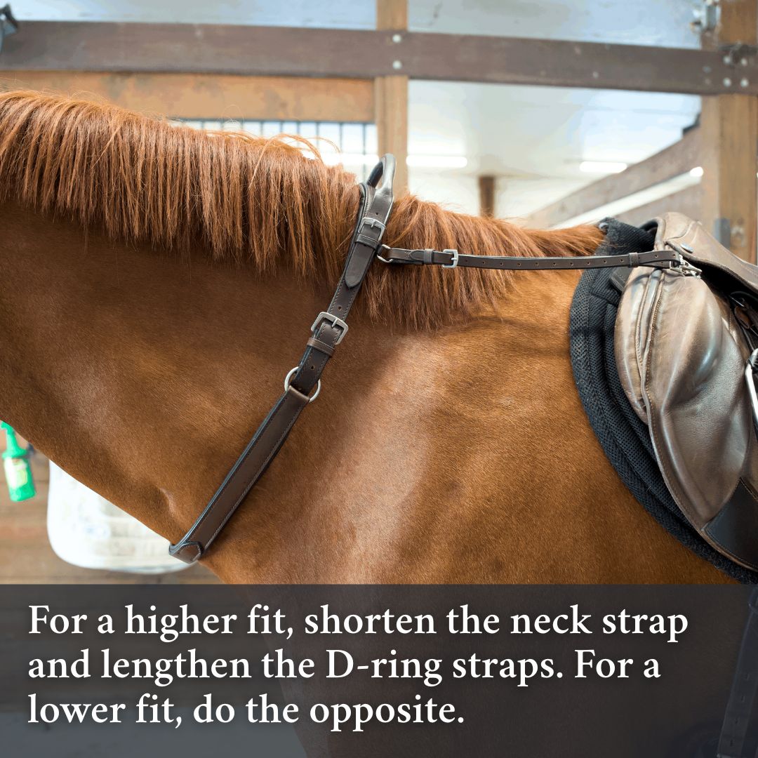 Double Neck Strap CorrectConnect