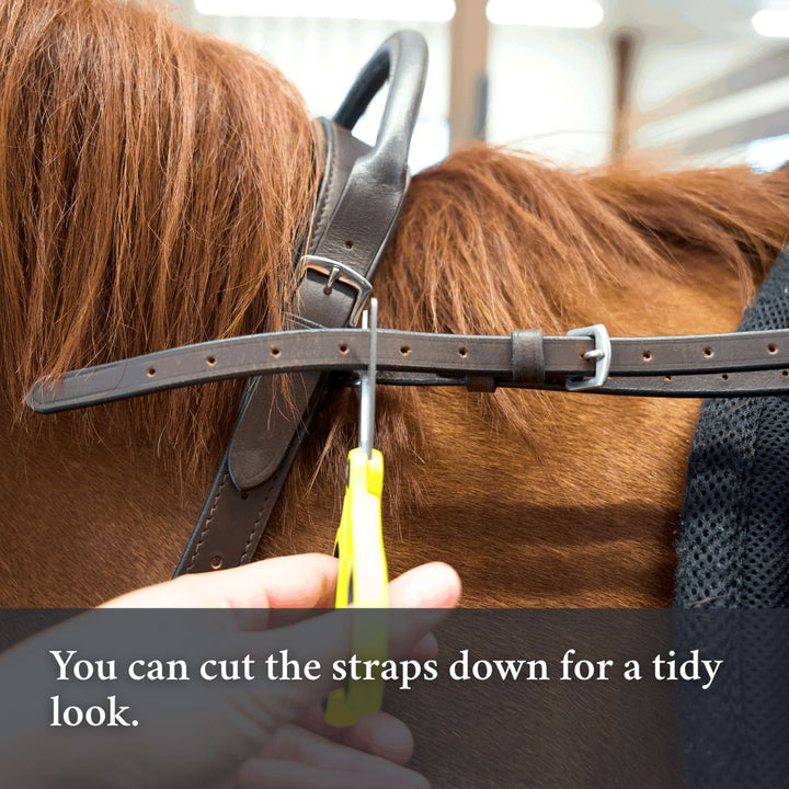 Double Neck Strap CorrectConnect