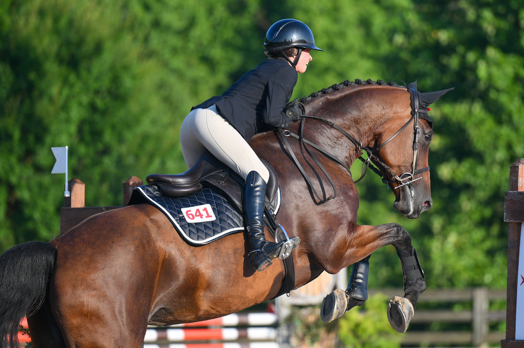 Saddle Pad | Black San Eligius