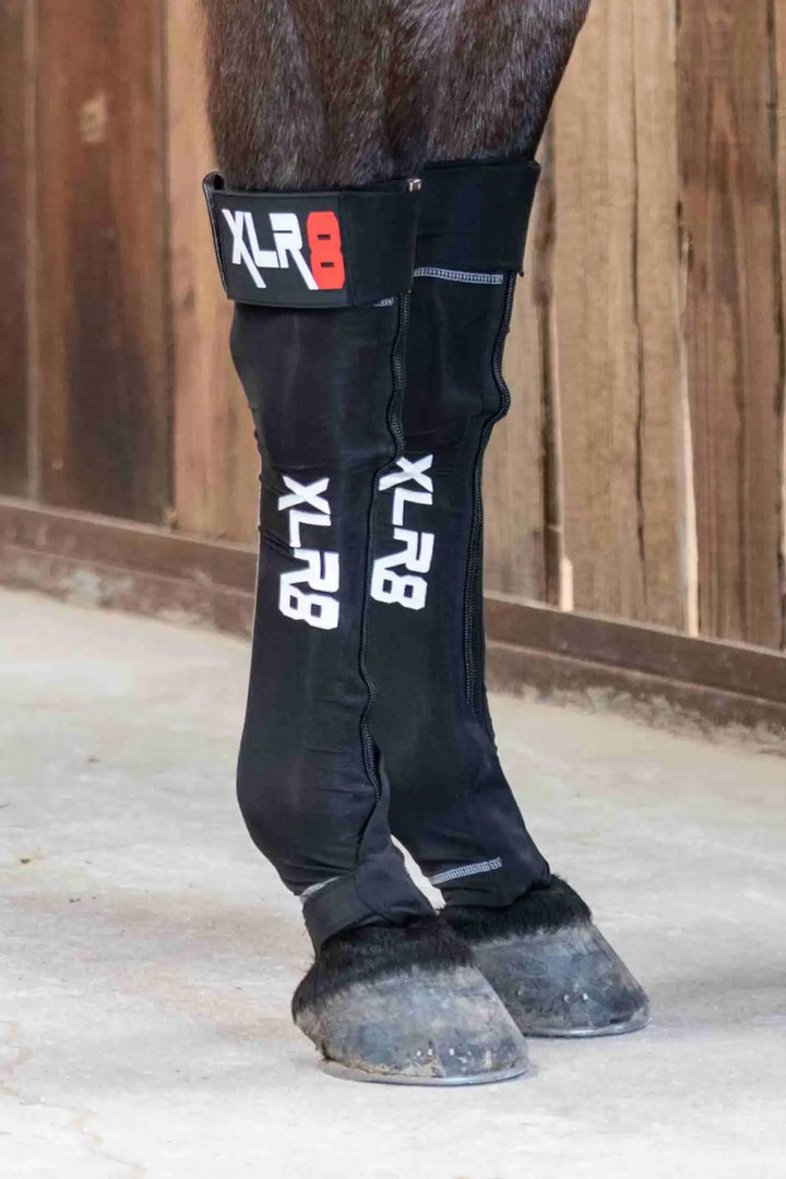 XLR8 G-Force Horse Compression Boot