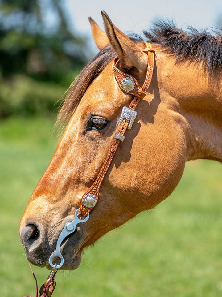 Millsboro One Ear Natural Chestnut Headstall Grewal Equestrian