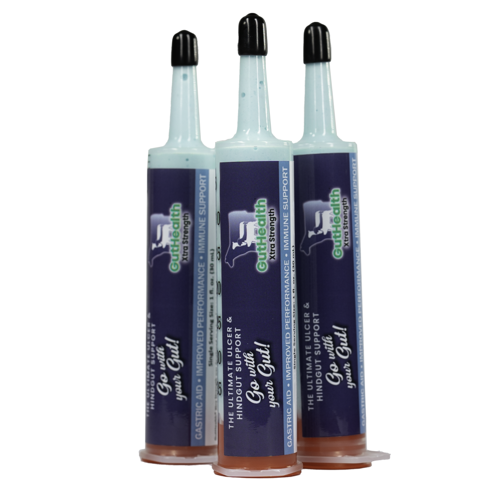 GutHealth Xtra Strength Gel for Horses - 3 Pack