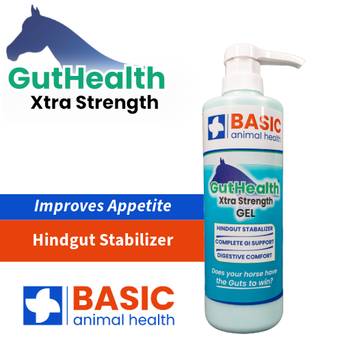 GutHealth Xtra Strength Gel for Horses - Bottles Basic Animal Health