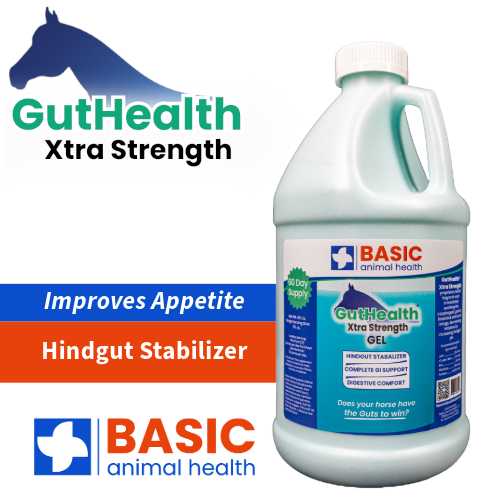 GutHealth Xtra Strength Gel for Horses - Bottles Basic Animal Health