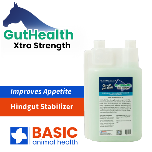 GutHealth Xtra Strength Liquid Supplement for Horses