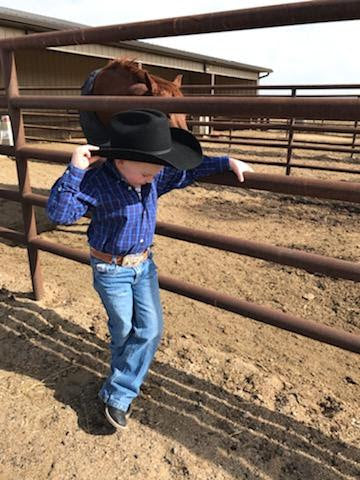 Kid's Saddle Tan Spider Combo Leather Belt