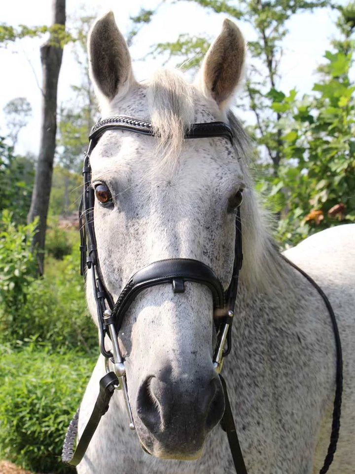 Wicker Braided Monocrown Bridle