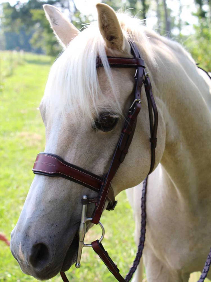 Santorini Snaffle Bridle