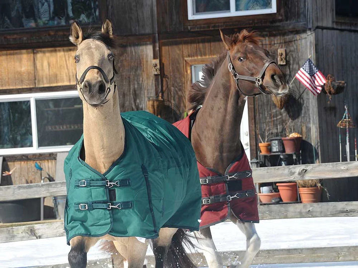Turnout & Stable Blanket -600D