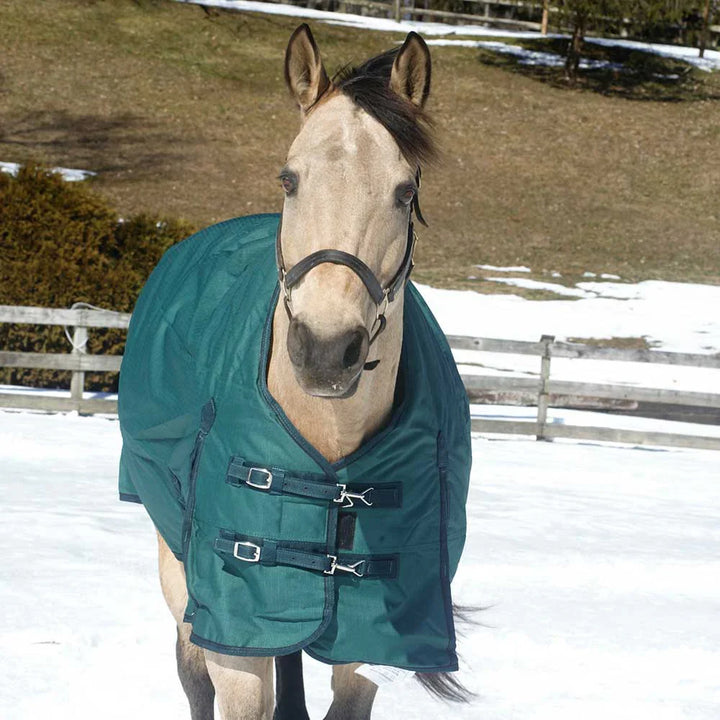 Heavyweight Turnout Stable Blanket -1680D