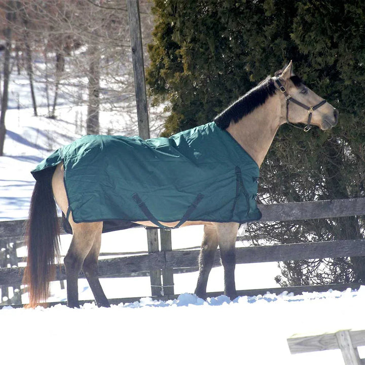 Heavyweight Turnout Stable Blanket -1680D