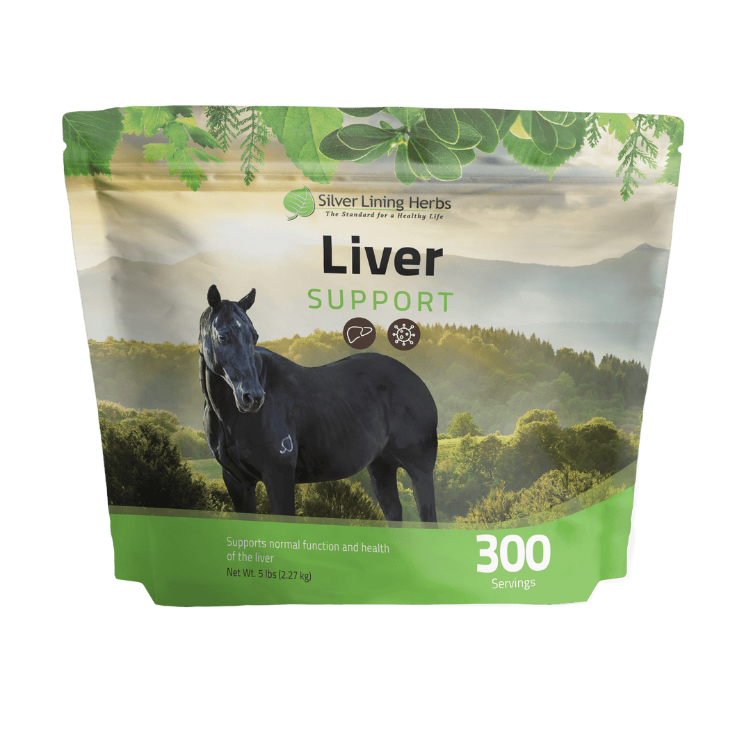 Liver Support for Horses Silver Lining Herbs