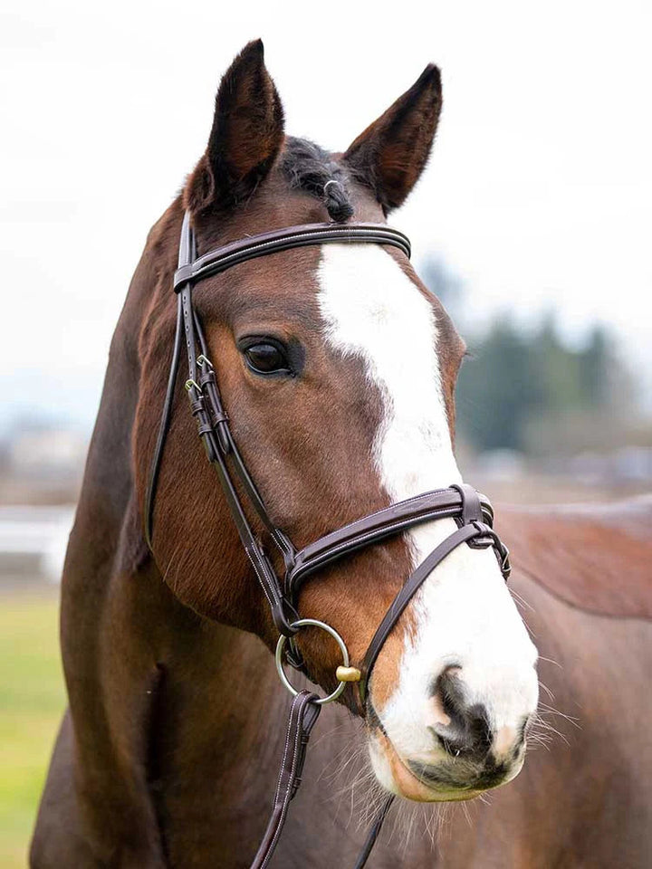 Marco Simone Italian Leather Monocrown Bridle Grewal Equestrian