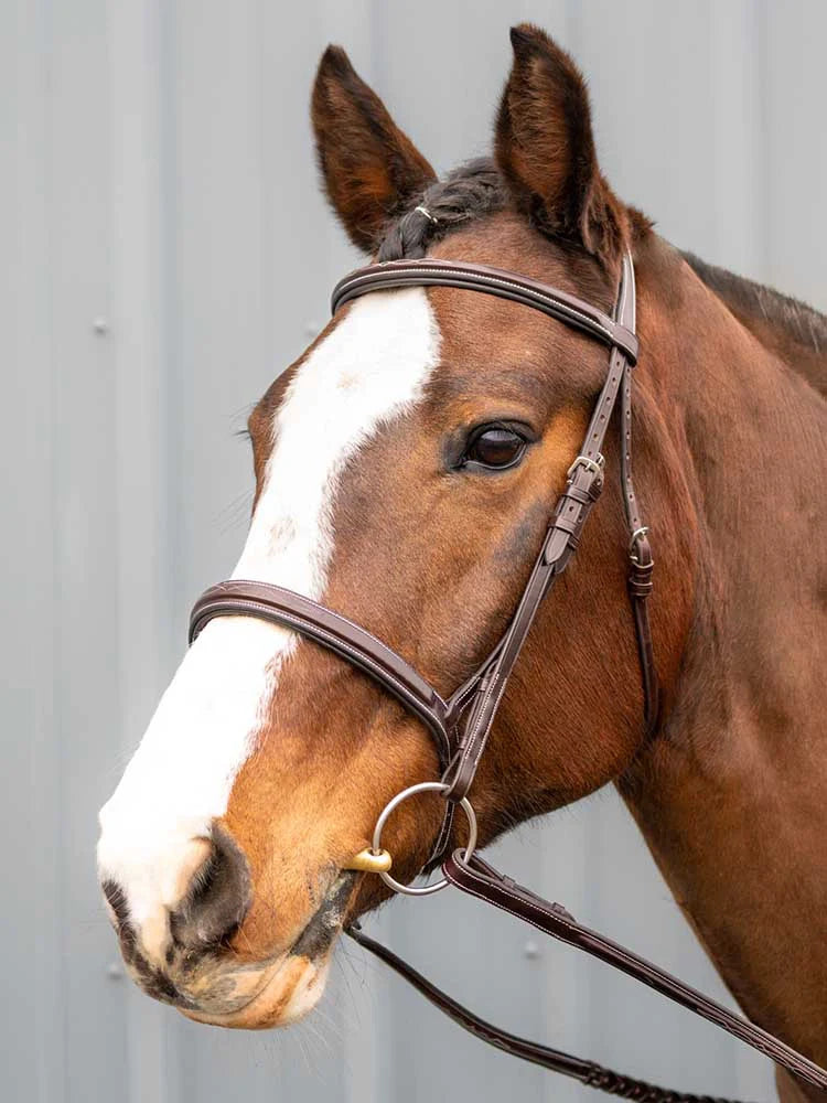 Marco Simone Italian Leather Monocrown Bridle Grewal Equestrian