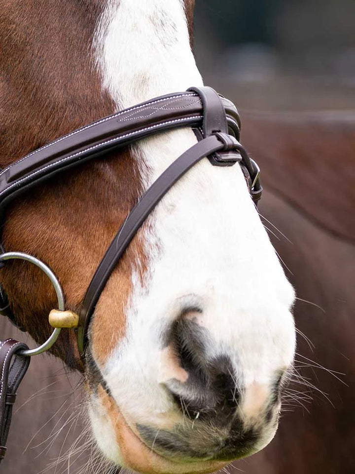 Marco Simone Italian Leather Monocrown Bridle Grewal Equestrian