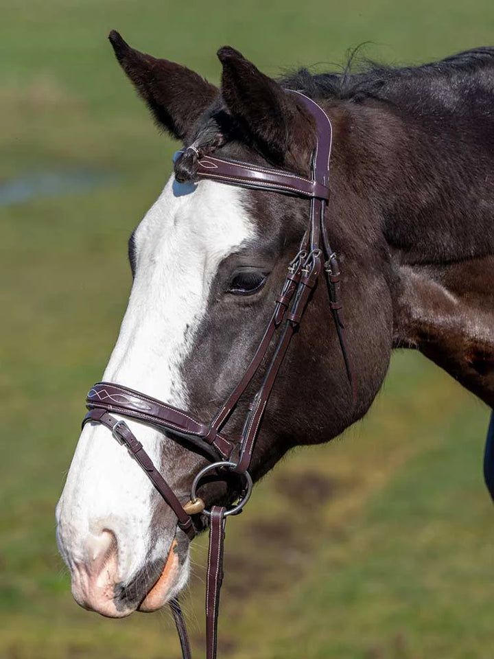 Munich Square Raised Bridle