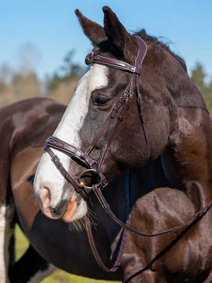 Munich Square Raised Bridle