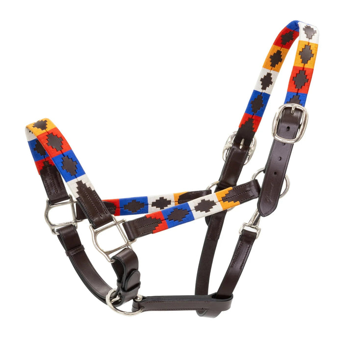Pampa Argentine Halter Grewal Equestrian