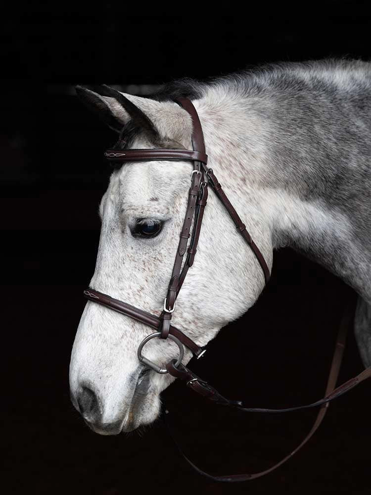 Pinehurst Round Raised Snaffle Bridle Grewal Equestrian