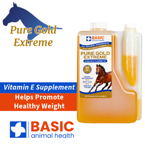 Pure Gold Extreme for Horses