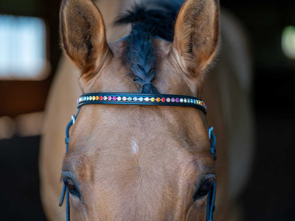 Rainbow Chain Browband Grewal Equestrian