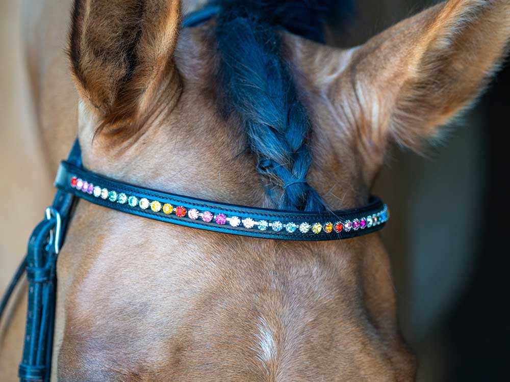 Rainbow Chain Browband Grewal Equestrian