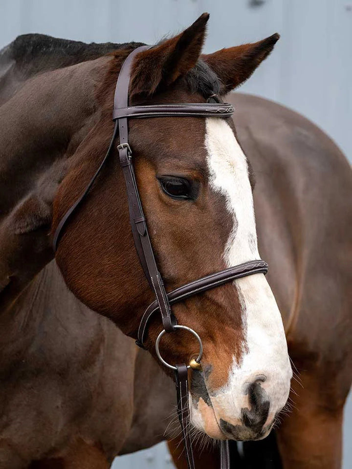 Royal Liverpool Round Raised Hunter Bridle Grewal Equestrian