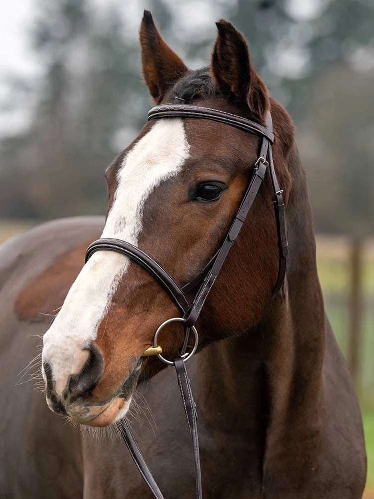 Royal Liverpool Round Raised Hunter Bridle Grewal Equestrian