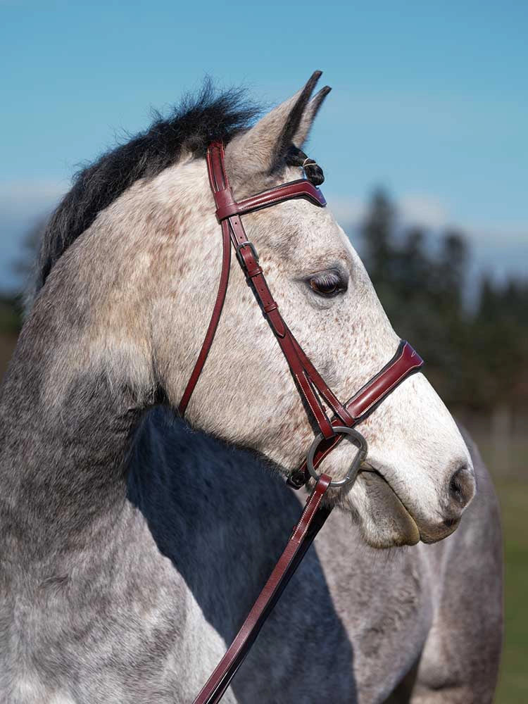 Santorini Snaffle Bridle