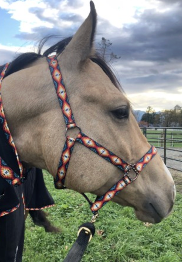 Sunset Aztec Nylon Horse Halter