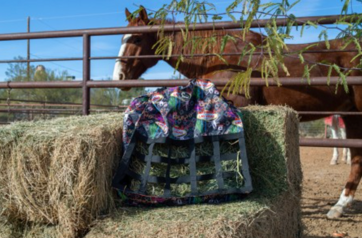 Punchy Vegas Rodeo Trailer Hay Bag