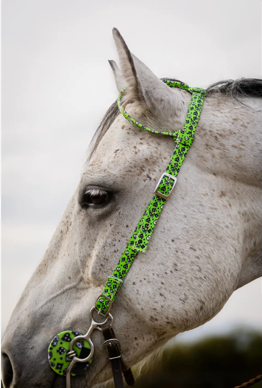 House of Cards Nylon One Ear Headstall