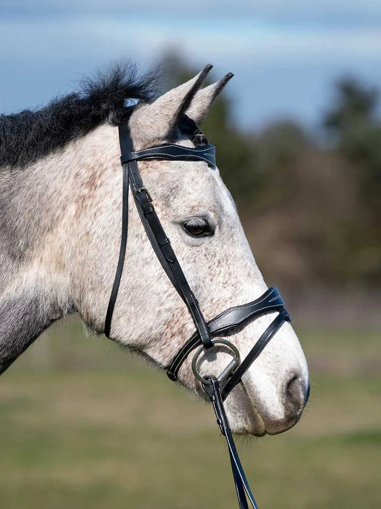 Shadow Creek Padded Flash Bridle