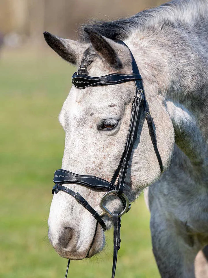 Shadow Creek Padded Flash Bridle