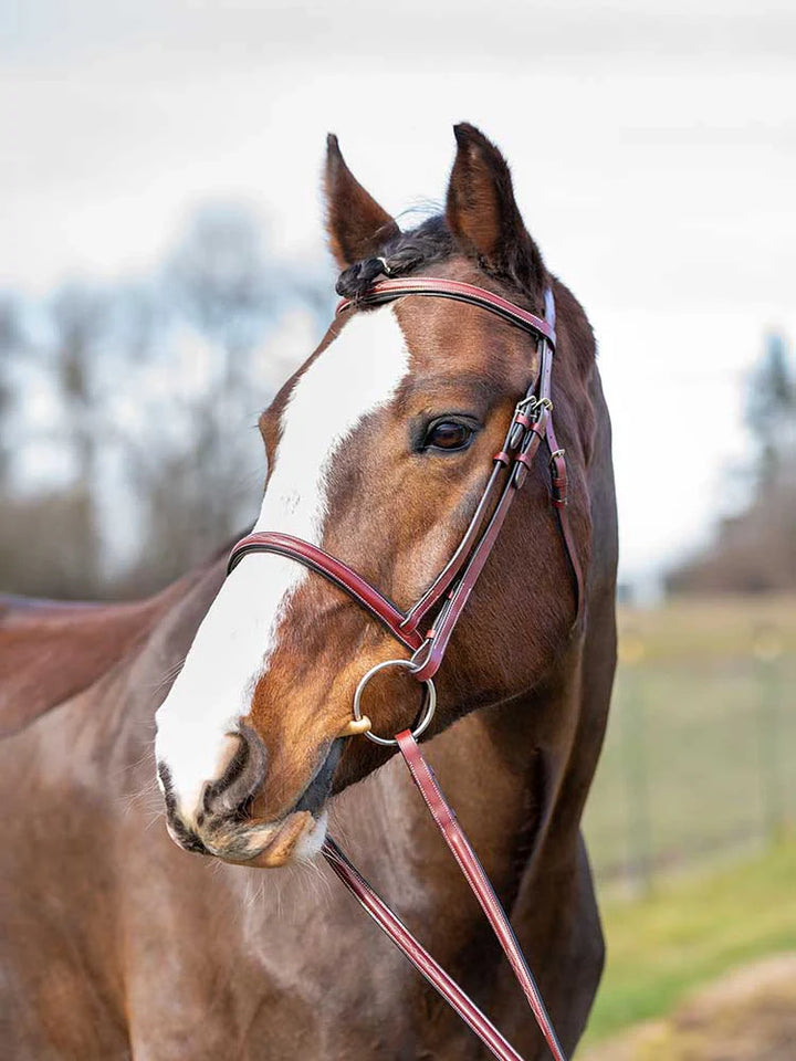 Spanish Bay Round Raised Hunter Bridle