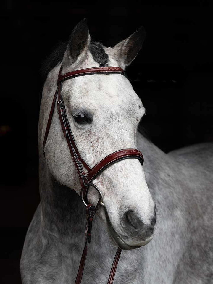St. Andrews Square Raised Hunter Bridle