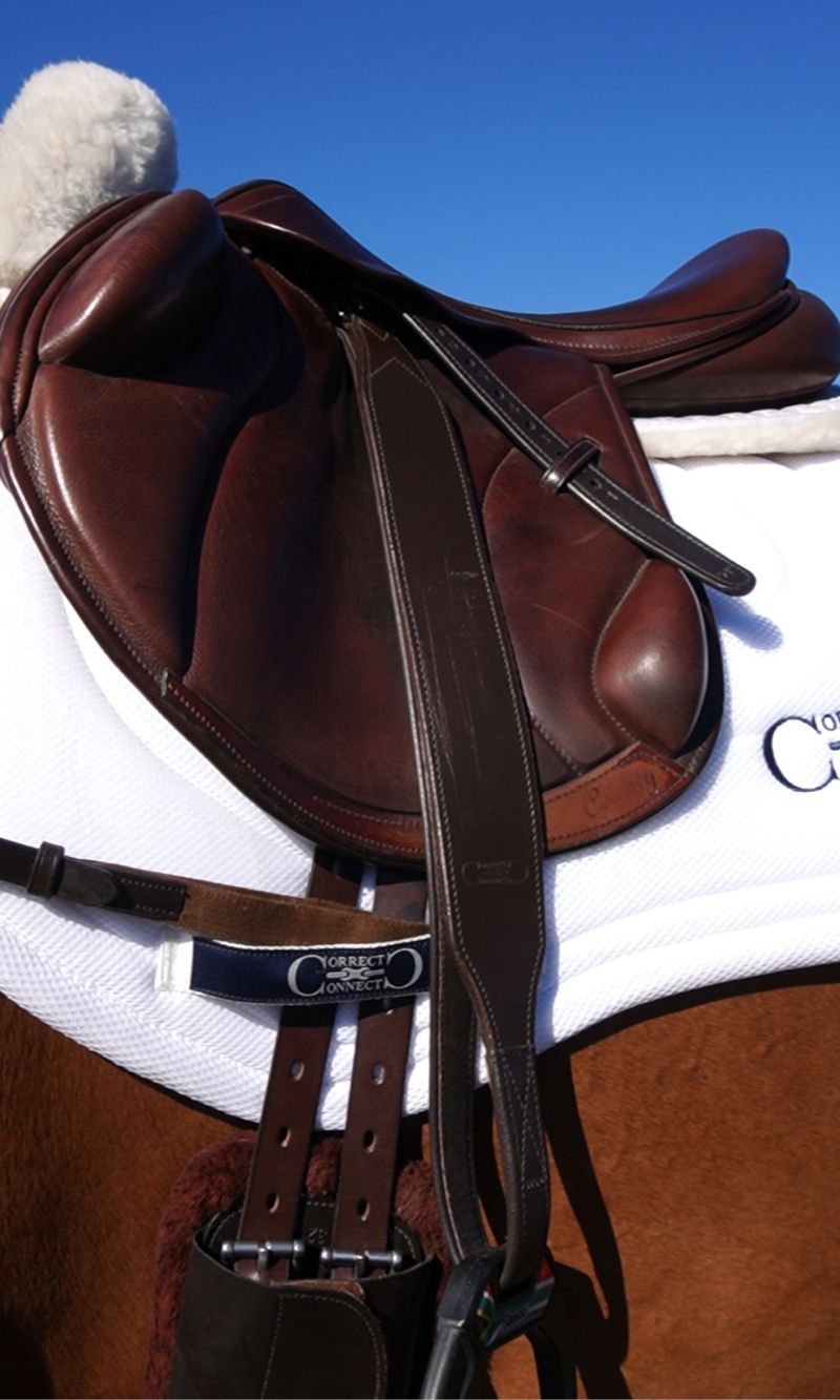 Stable Ride Stirrup Leathers