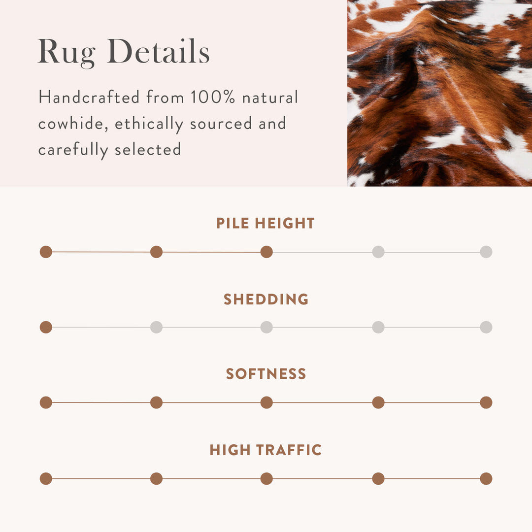 Tricolor Brazilian Cowhide Rug: Large