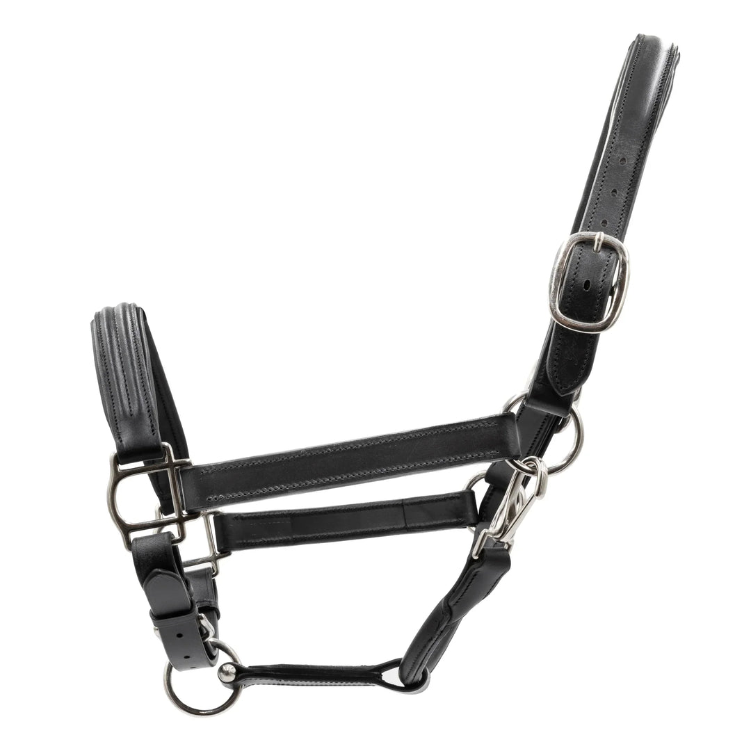 Triple-Stitched Leather Halter