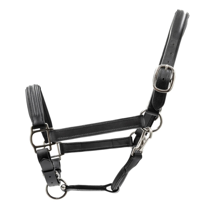 Triple-Stitched Leather Halter
