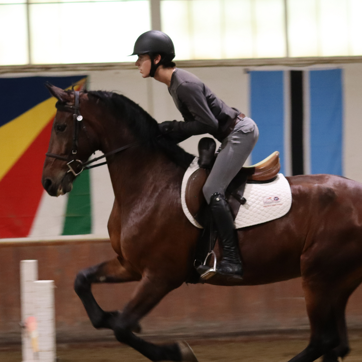 Sally Batton Pommel Blocker CorrectConnect