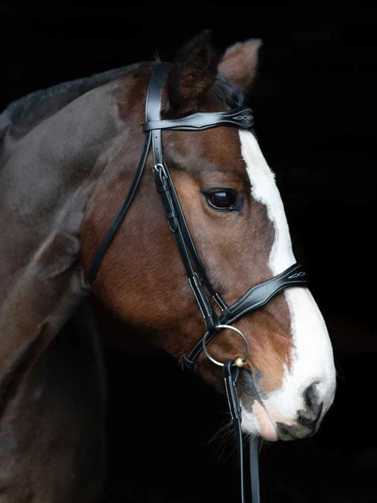 Vogue Scalloped Bridle