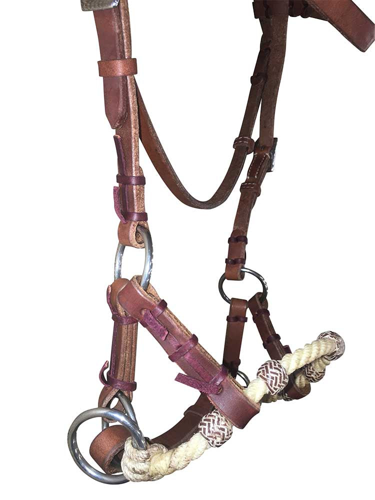 Pawtucket - Western Side-Pull Headstall #122 Grewal Equestrian