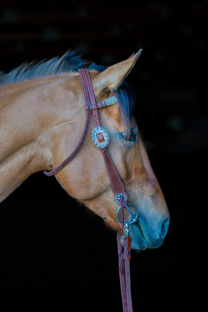 Phoenix Western Browband Headstall Grewal Equestrian