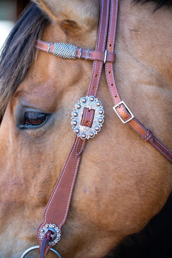 Phoenix Western Browband Headstall Grewal Equestrian