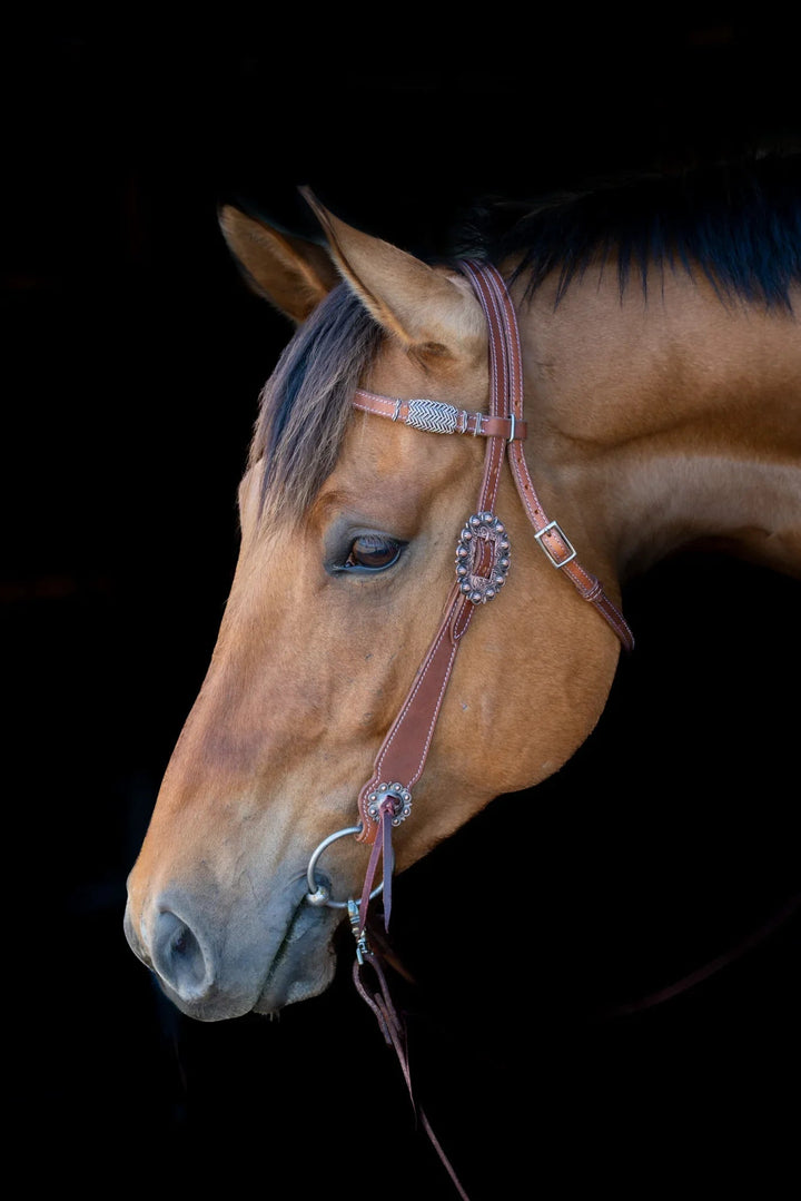 Phoenix Western Browband Headstall Grewal Equestrian