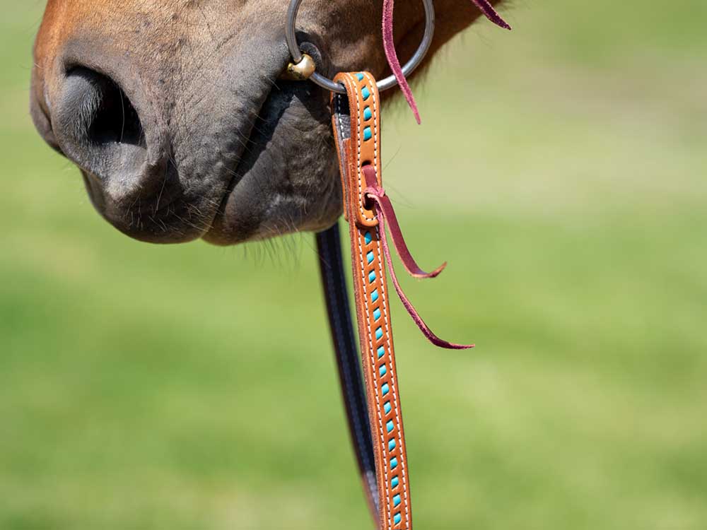 Western Split Reins with Turquoise Buckstitching