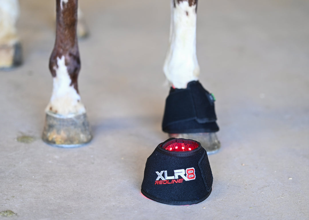 Redline Bell Boot - Single XLR8 Equine